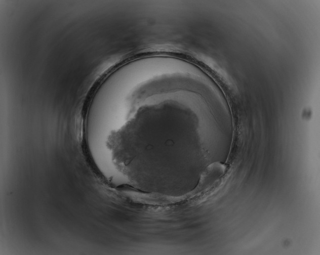 X0000102841221200809021329