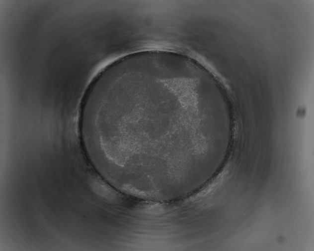 X0000102841222200809021329