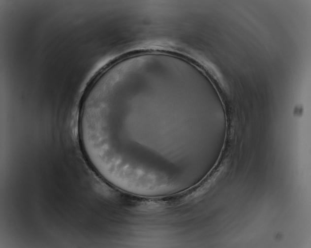 X0000102841224200809021329