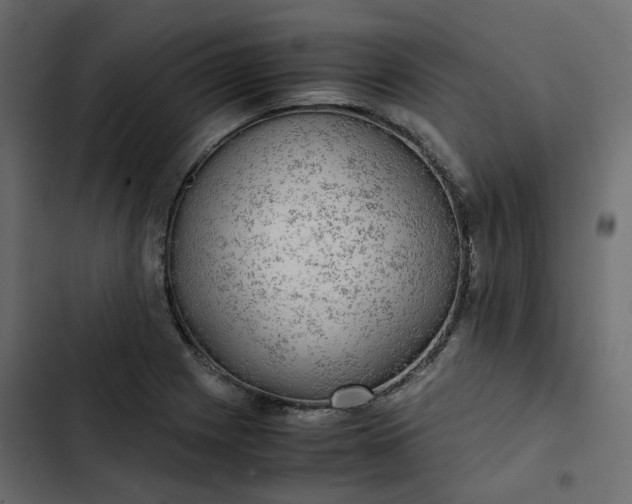 X0000102841225200809021329