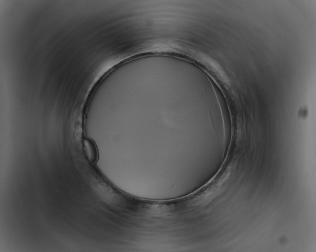 X0000102841226200809021329