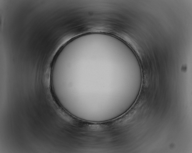 X0000102841227200809021329