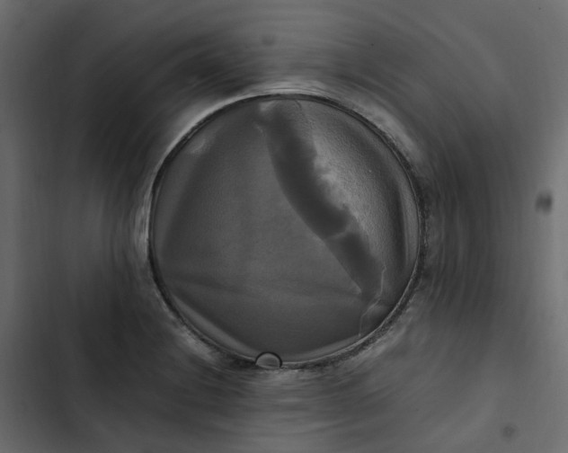 X0000102841228200809021329