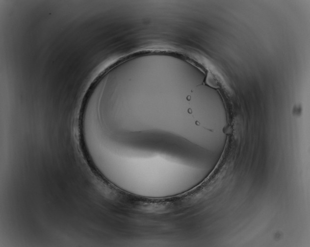 X0000102841229200809021329