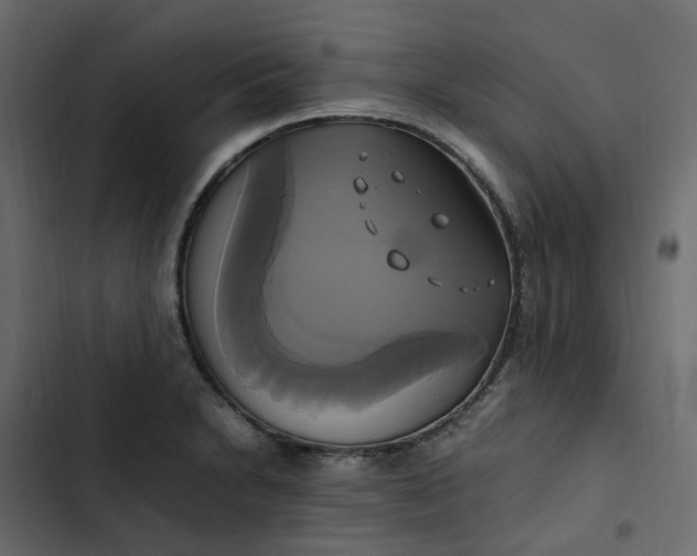 X0000102841230200809021329