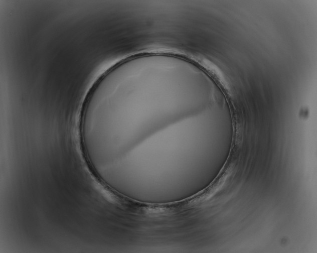 X0000102841231200809021329