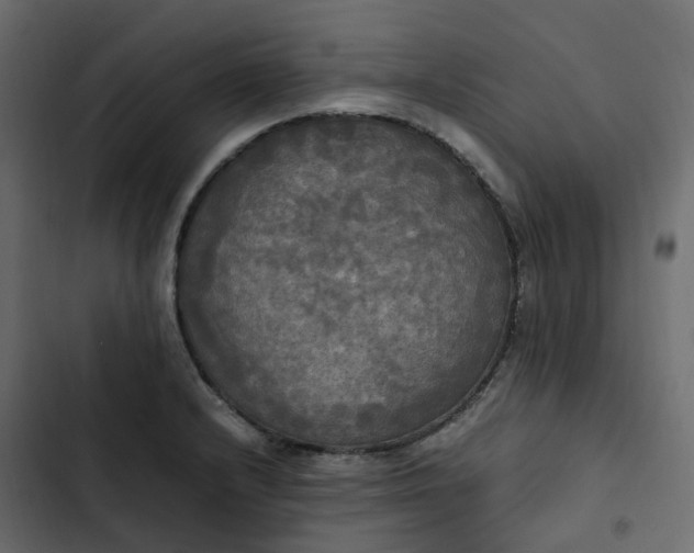 X0000102841232200809021329