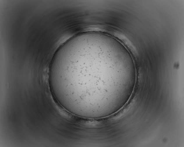 X0000102841233200809021329