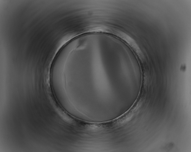 X0000102841234200809021329