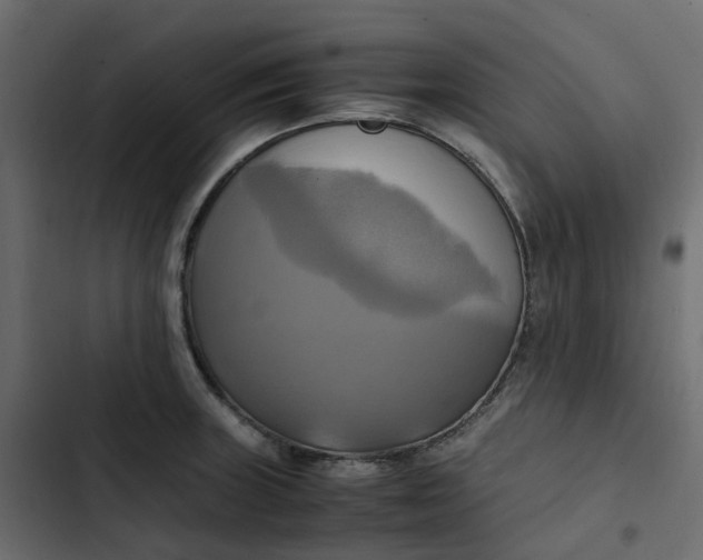 X0000102841235200809021329