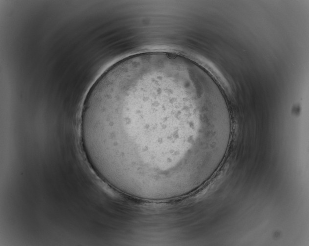 X0000102841236200809021329