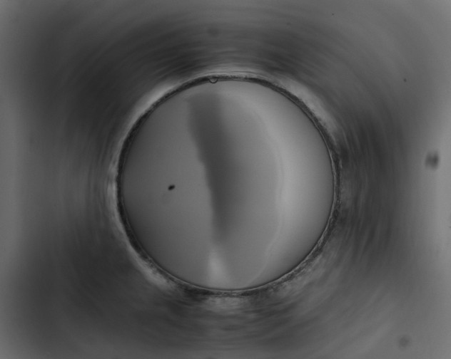 X0000102841237200809021329