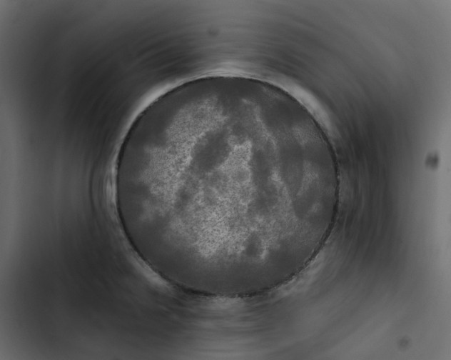 X0000102841238200809021329