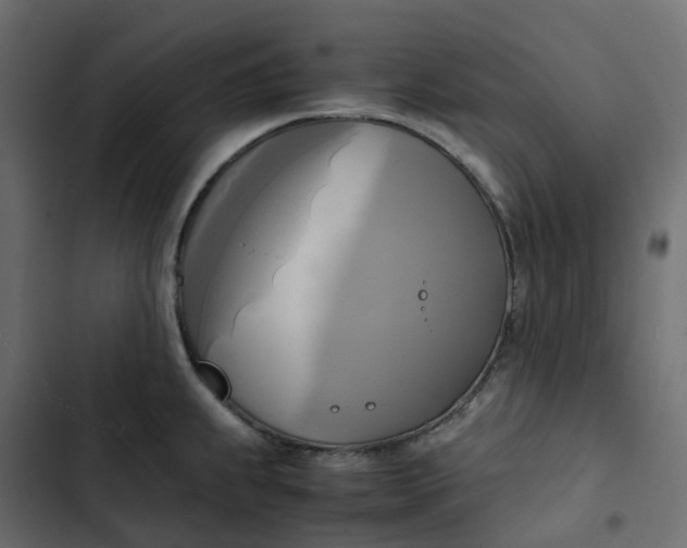 X0000102841239200809021329