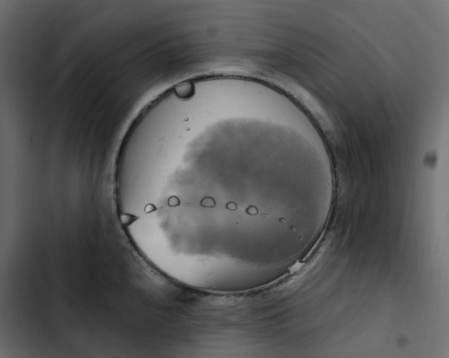 X0000102841240200809021329