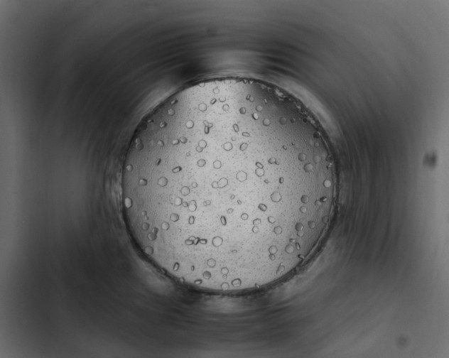 X0000102841241200809021329