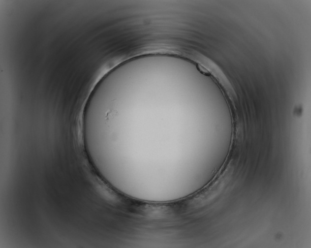 X0000102841242200809021329