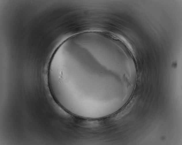 X0000102841243200809021329