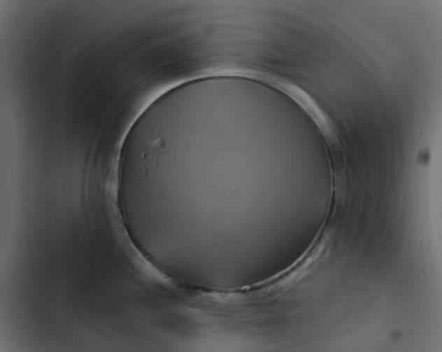 X0000102841244200809021329