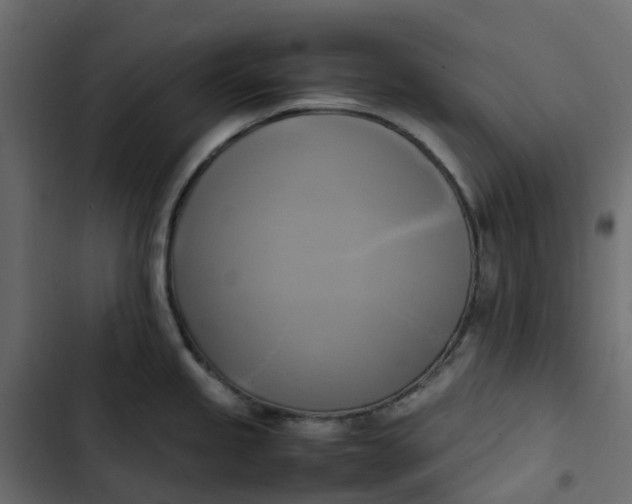 X0000102841245200809021329