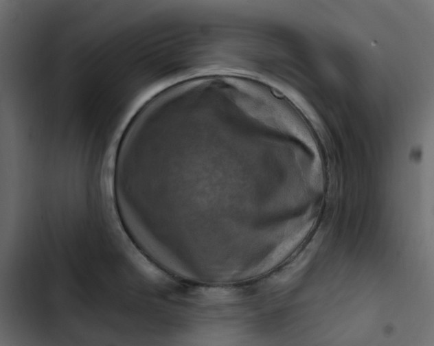 X0000102841246200809021329