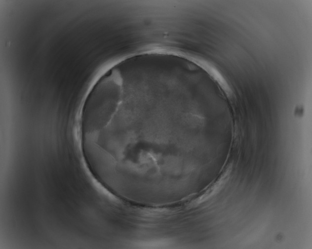 X0000102841247200809021329