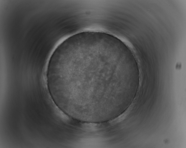 X0000102841248200809021329