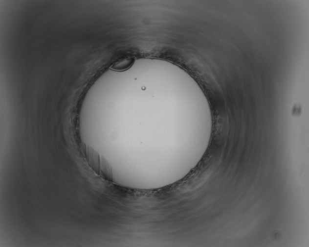 X0000102841249200809021328