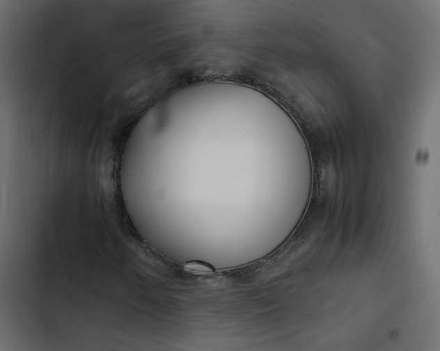 X0000102841250200809021328