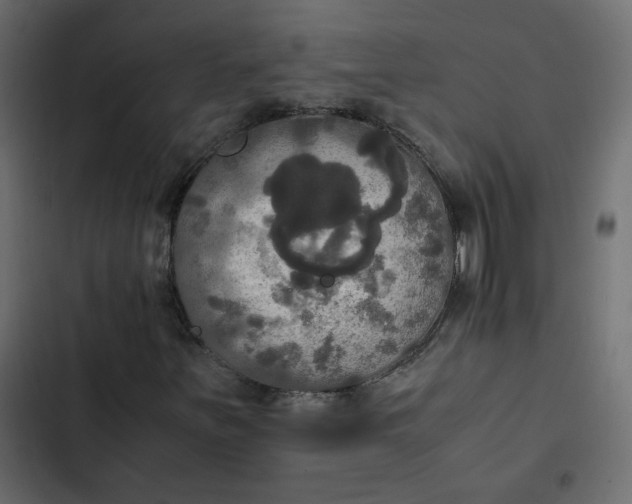 X0000102841251200809021328