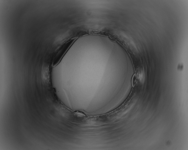 X0000102841252200809021328