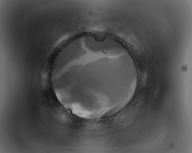 X0000102841254200809021328