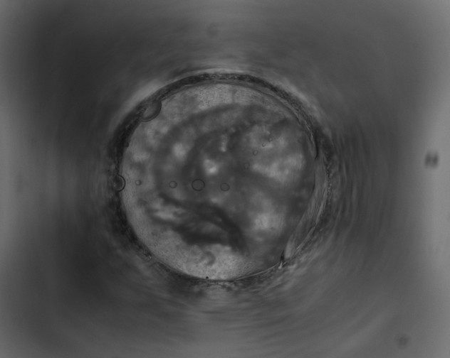 X0000102841255200809021328