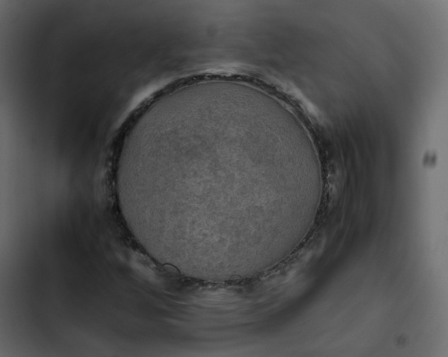 X0000102841256200809021328