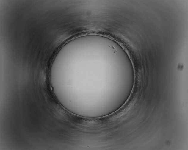 X0000102841257200809021328