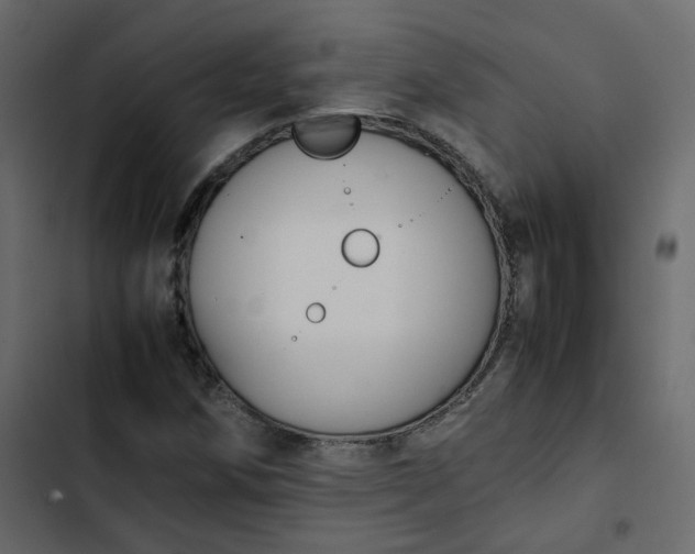 X0000102841258200809021328