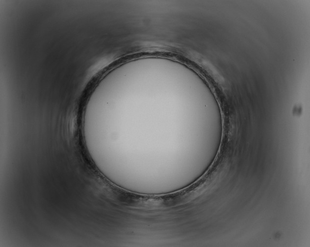 X0000102841261200809021328