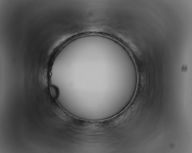 X0000102841262200809021328