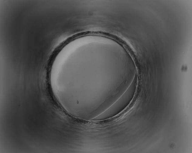 X0000102841263200809021328