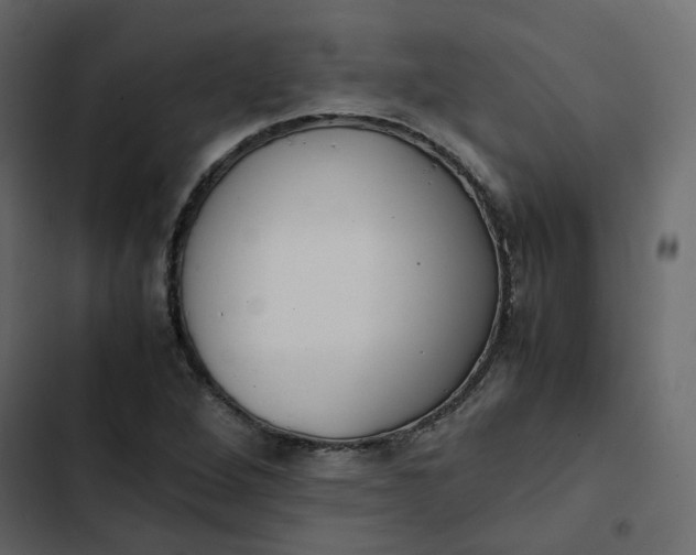 X0000102841264200809021328