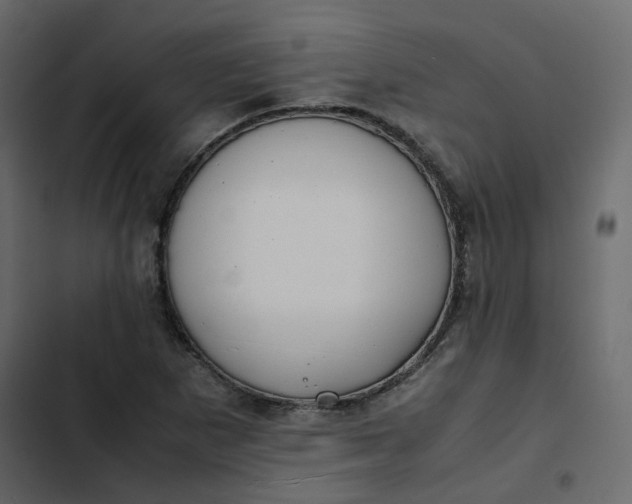 X0000102841265200809021328