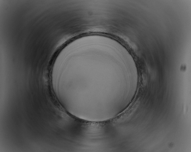 X0000102841266200809021328