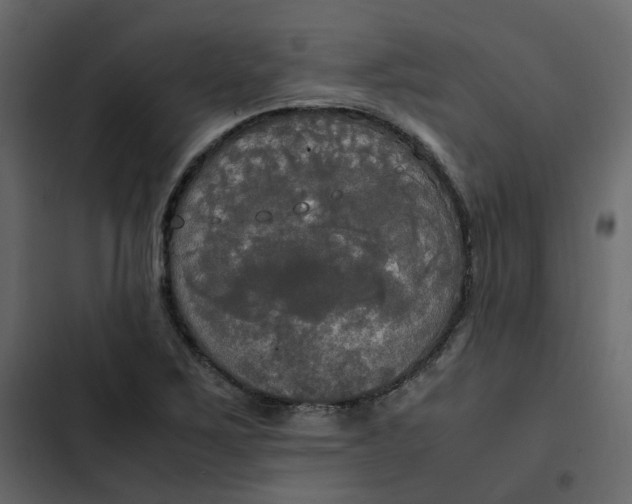 X0000102841267200809021328