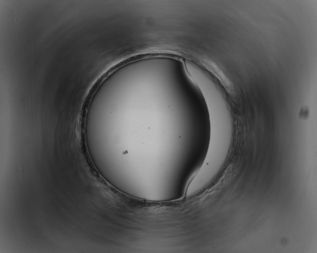 X0000102841268200809021328