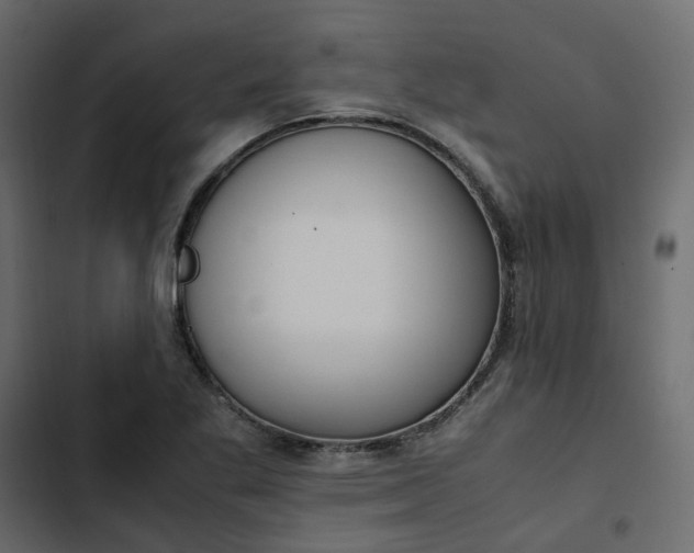 X0000102841269200809021328