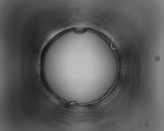 X0000102841270200809021328