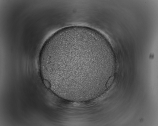 X0000102841271200809021328