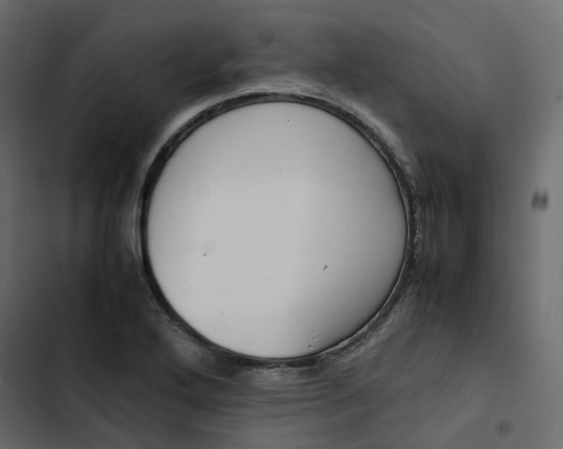 X0000102841272200809021328