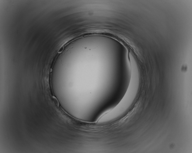 X0000102841273200809021328