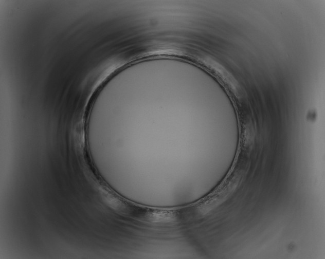 X0000102841274200809021328